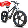 Powerful Electric Fat Tire Bike